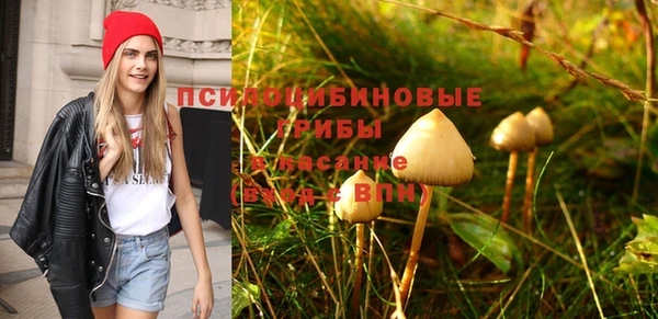 jwh Краснослободск