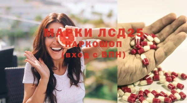 jwh Краснослободск