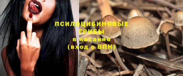 apvp Краснотурьинск